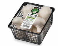 פטריות שמפיניון ארוז מרינה