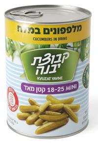 מלפפון במלח 18-25 קבוצת יבנה
