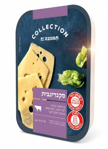 פרוסות גבינה סקנדינבית