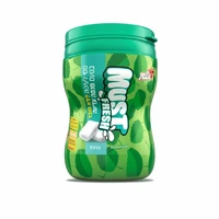 עלית מסטיק מאסט בצנצנת ספירמינט עדין 66 גרם