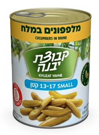 מלפפונים במלח קטן A 2 (13-17 יחידות) קבוצת יבנה 560 גרם