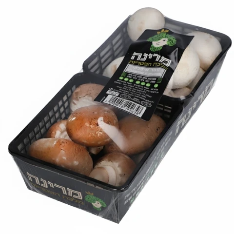 צמד פטריות מיקס מרינה 250 X 2 גרם