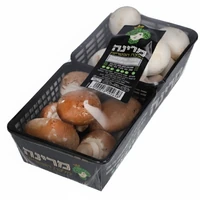 צמד פטריות מיקס מרינה 250 X 2 גרם