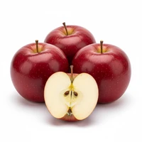 תפוח עץ סטרקינג (אדום)