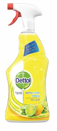 דטול ספריי לניקוי וחיטוי כללי 750 מ"ל