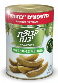 מלפפון בחומץ 10-12 600 גרם - קבוצת יבנה