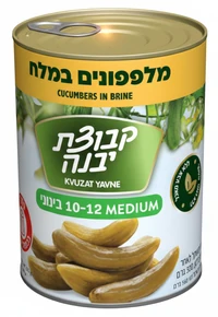 מלפפון במלח קבוצת יבנה 560 גרם