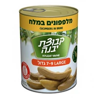 מלפפונים במלח גדול