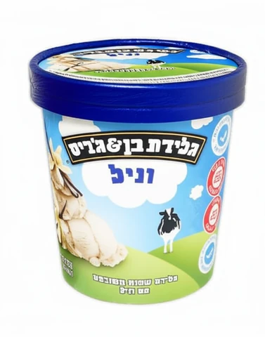 גלידת וניל צרפתי כשר לפסח פיינט וניל FT 500 מ"ל