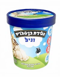 גלידת וניל צרפתי כשר לפסח פיינט וניל FT 500 מ"ל